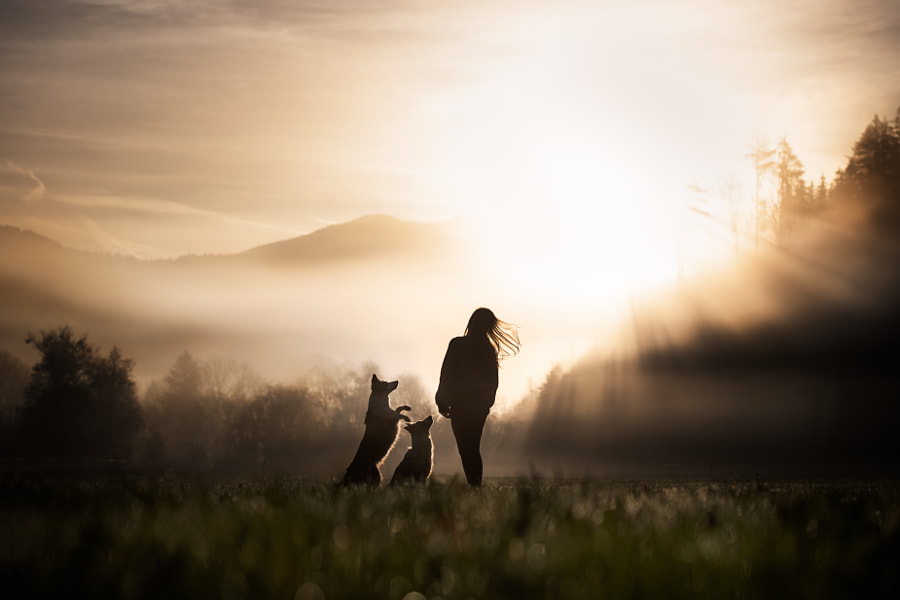 Silhouette fille avec deux chiens debout sur le terrain contre le ciel et les montagnes pendant le lever du soleil par Iza ?yso ? sur 500px.com